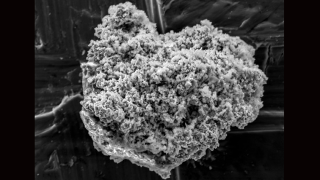 Comet Dust Has Been Hiding Out in Antarctica This Whole Time